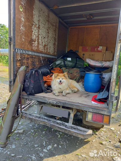 Переезды, грузчики