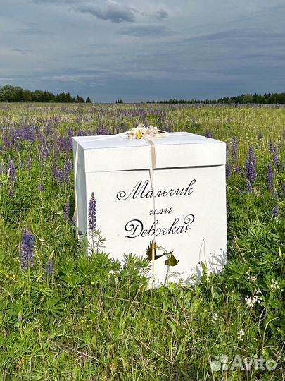 Коробка для воздушных шаров