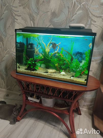 Аквариум 100 литров