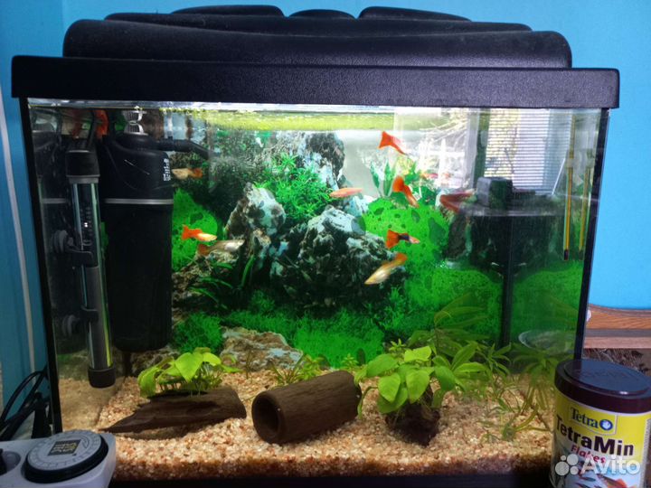Аквариум