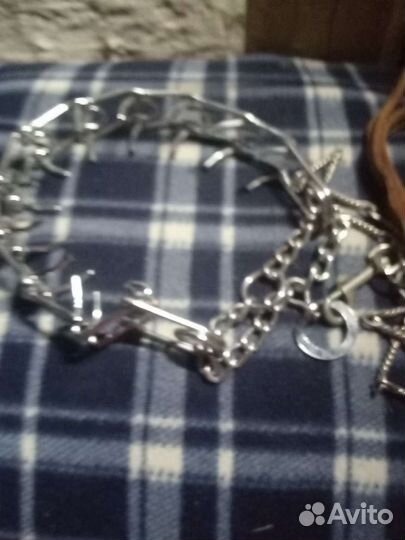 Ошейник для собак