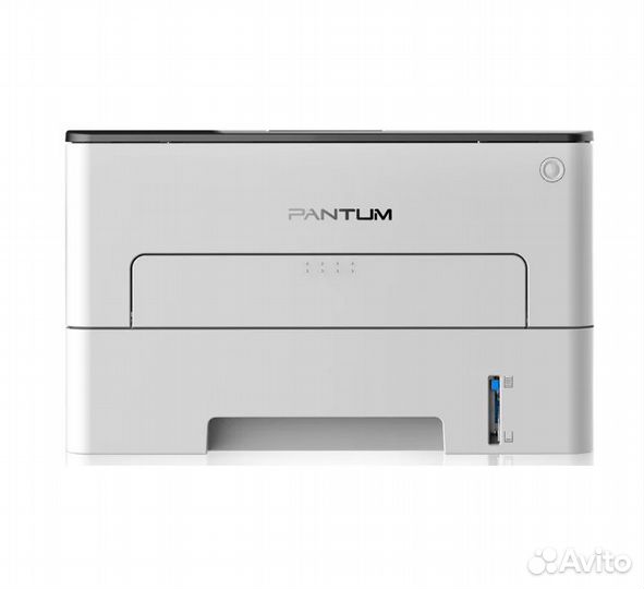 Pantum P3010D