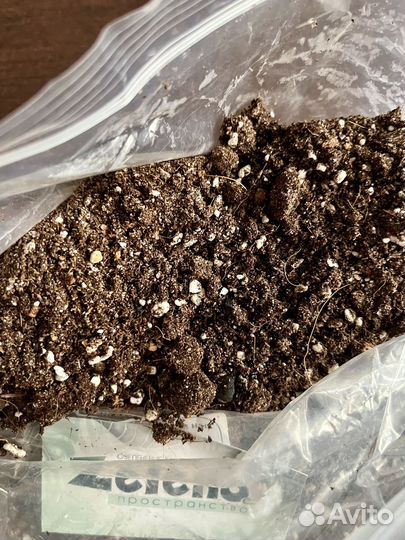 Грунт для комнатных растений