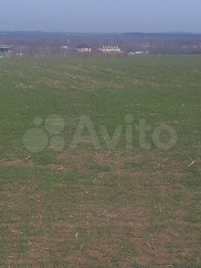 Участок 10 сот. (СНТ, ДНП)
