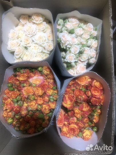 Цветы Розы оптом