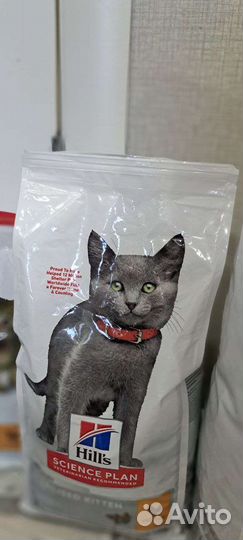 Сухой корм для собак и кошек