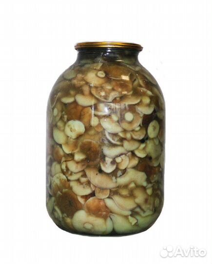 Грибы соленые