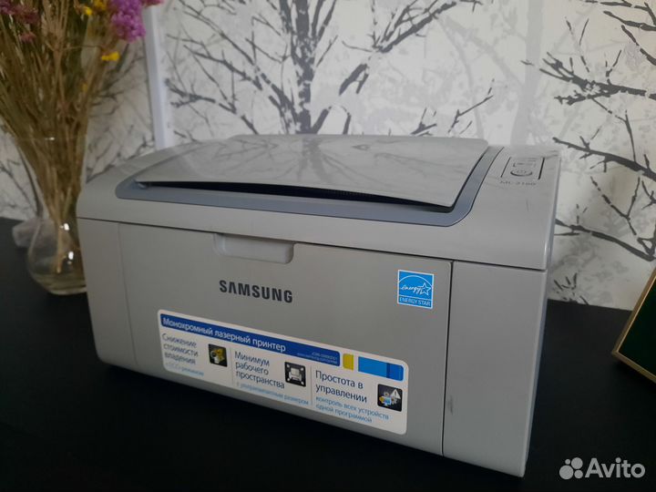 Принтер лазерный samsung ML-2160