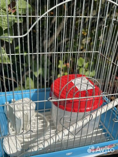 Клетка для волнистого попугая