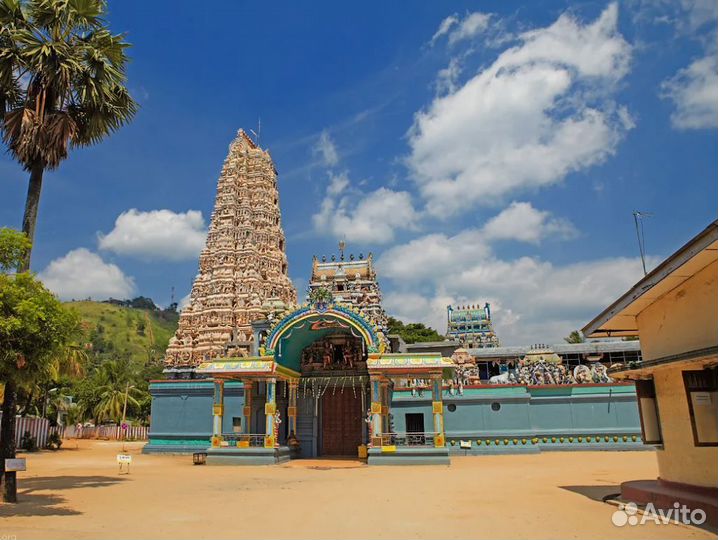 Тур путевка Шри-Ланка 9 ночей