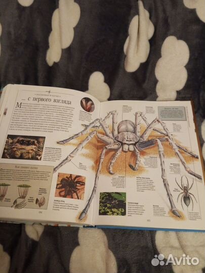 Большая детская энциклопедия