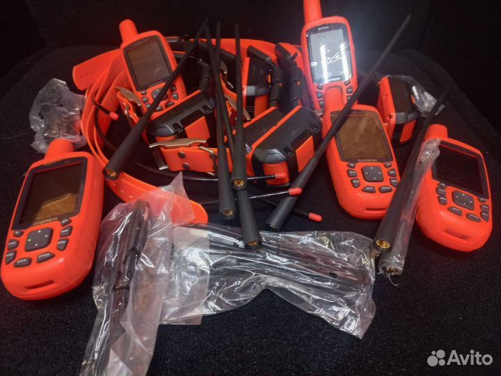 Навигатор Garmin Alfa 50 с ошейником Т5