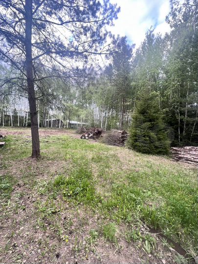 Участок 10 сот. (СНТ, ДНП)