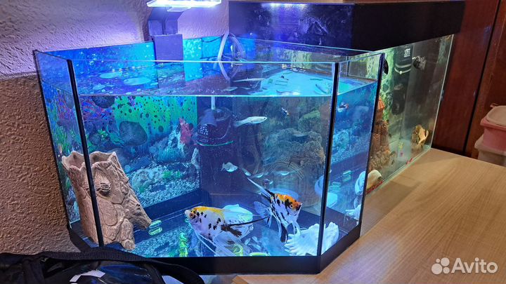 Аквариум 40литров с рыбками