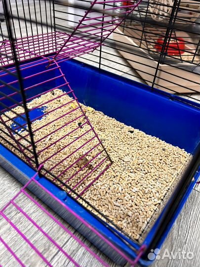 Клетка для грызунов