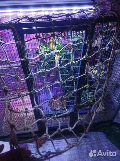 Игрушка для попугаев. Сетка для скалолазания