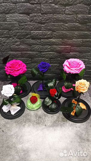 Розы в колбе