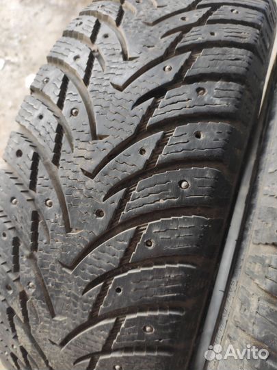 Nankang SW-8 Ice Activa 185/65 R15