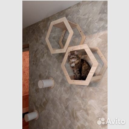 Аксессуары для кошек