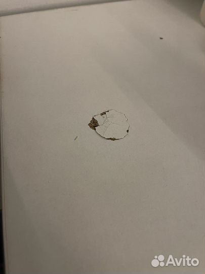 Детская растущая парта