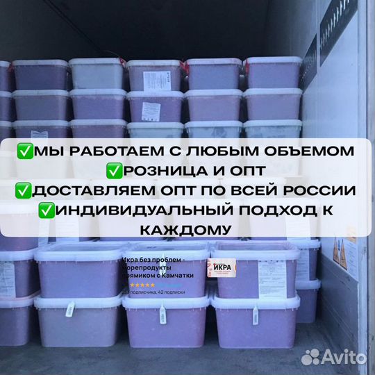 Красная икра кета горбуша нерка чавыча кижуч