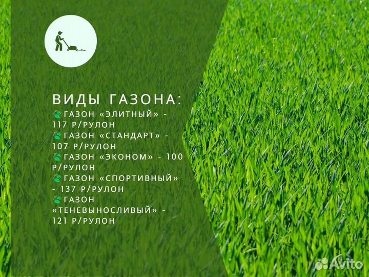 Рулонный газон элитный