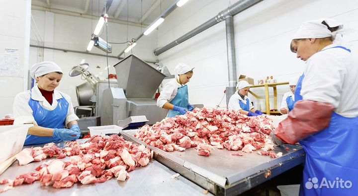 Вахта в Курске/Проезд/разнарабочий на мясокомбинат