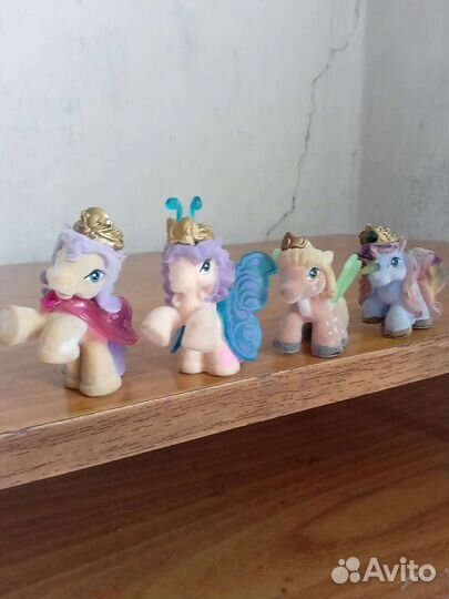 Пони Sweet box, filly