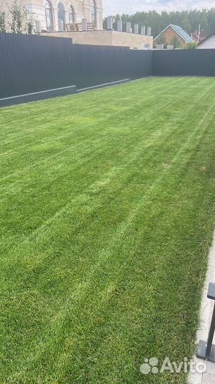 Рулонный газон с укладкой