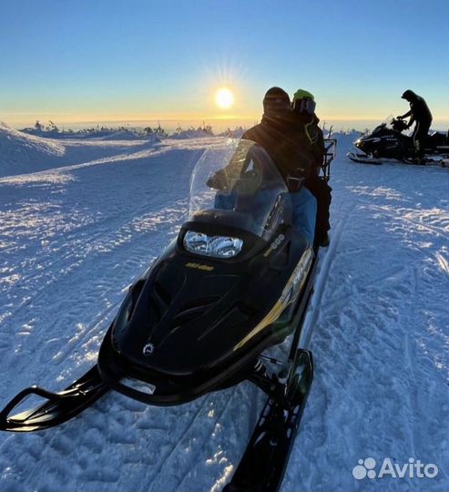 Экскурсии, фрирайд