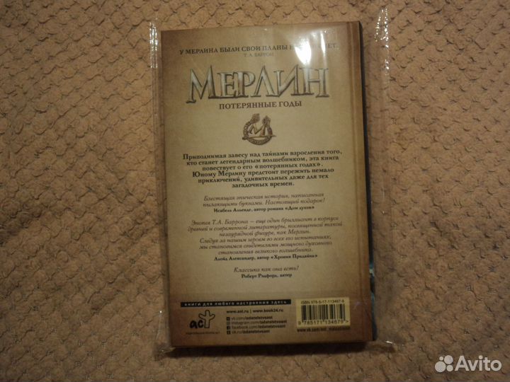 Сага о Мерлине. Потерянные годы Т.А.Баррон