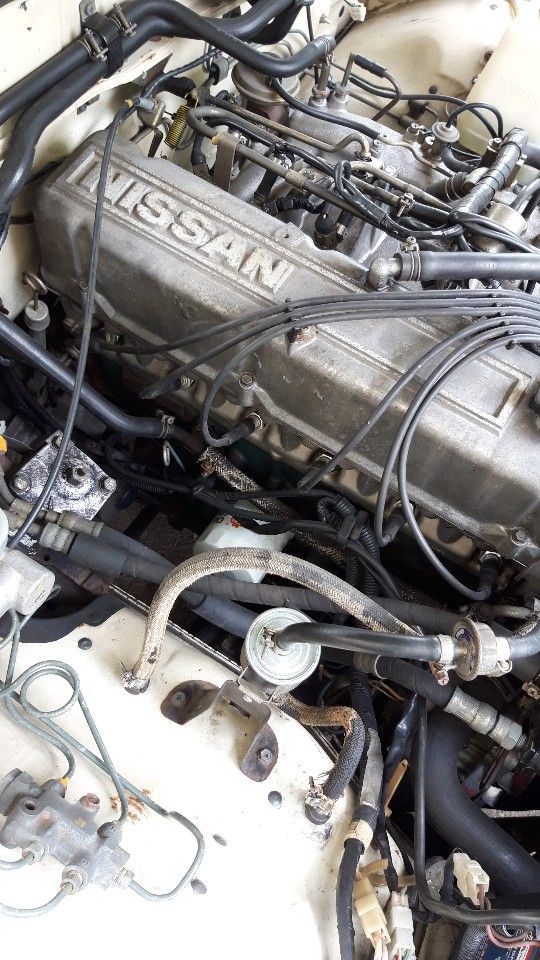 Nissan Cedric: фото из отзыва