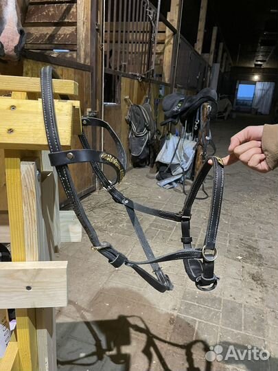 Сайдпул для лошади