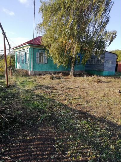 Волгоградская озерки. Волгоградская озерки. Волгоградская озерки. Дон в иловлинском районе. Хутор озерки волгоградская область.