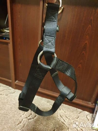 Шлейка для собаки
