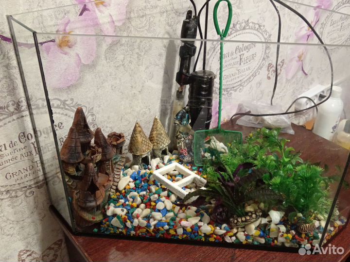 Аквариум