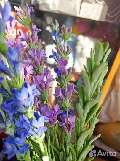 Лаванда из холодного фарфора, букет для вазы