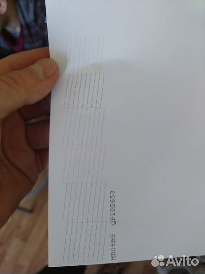 Принтер epson l800