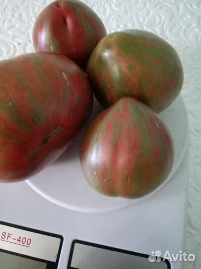 Семена томатов