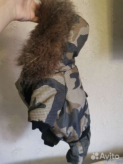 Одежда для собак мелких пород