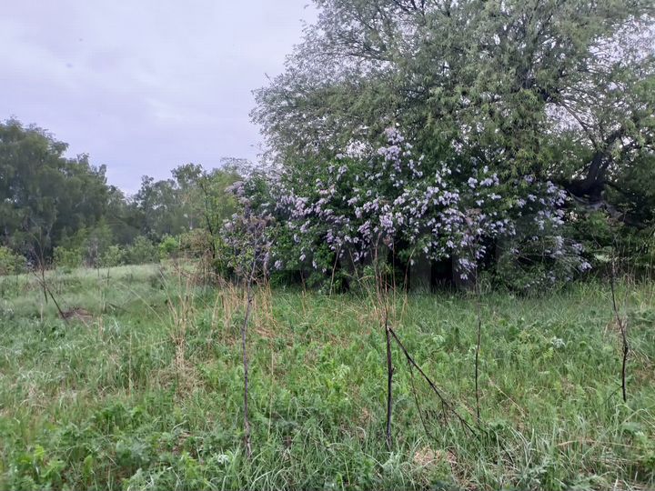 Участок 20 сот. (ИЖС)