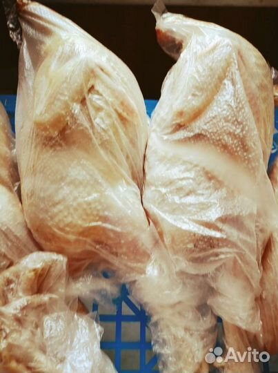 Техасец фараон (перепел)