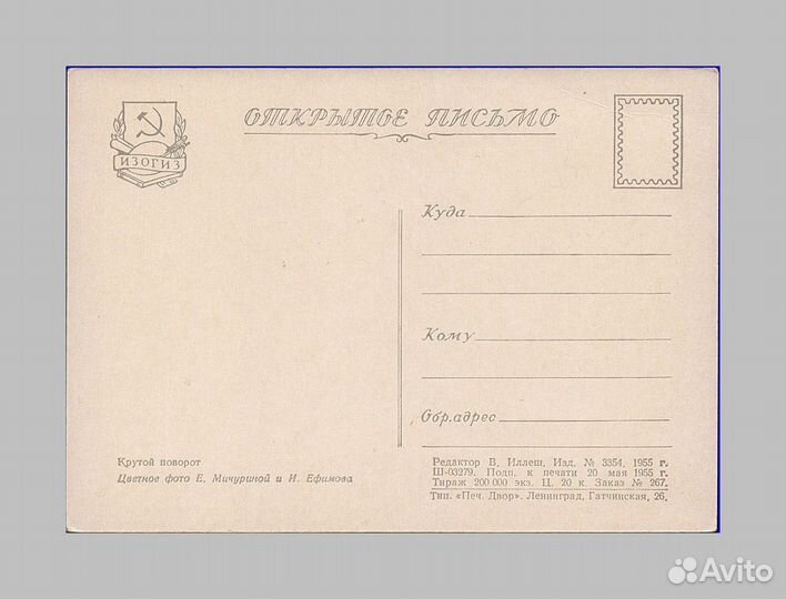 Мичурина Артек скрипка Микулина Романов дети