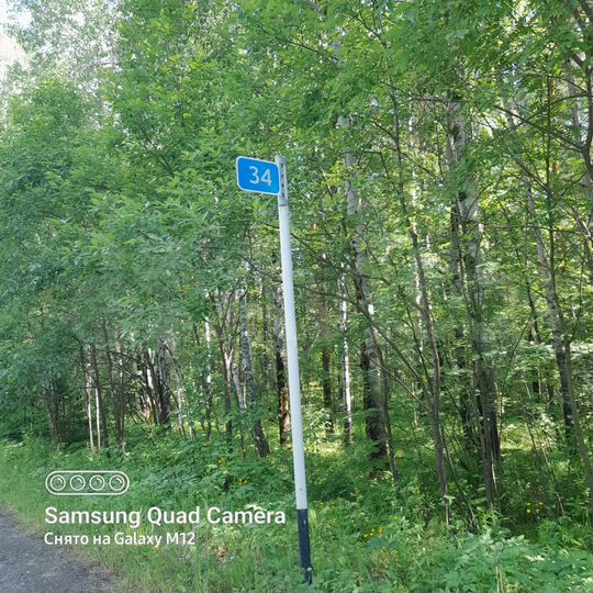 Участок 10,6 сот. (СНТ, ДНП)