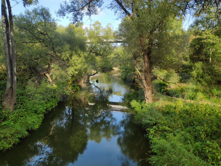 Участок 12,5 сот. (ИЖС)