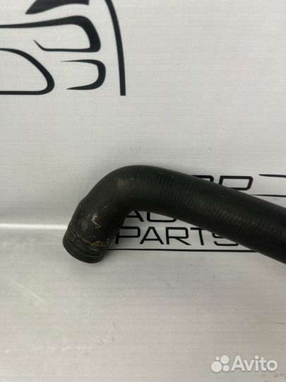 Патрубок системы охлождения Ford Focus 3 CB8 1.6L