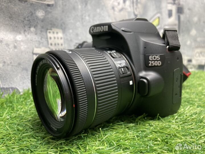 Canon 250D + 18-55mm 4-5.6 IS STM 2000 кадров