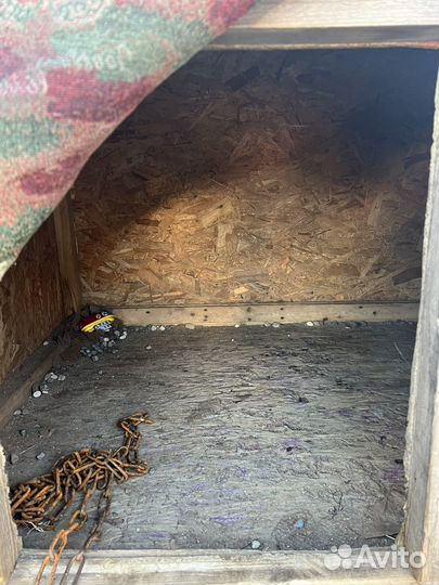 Будка для большой собаки