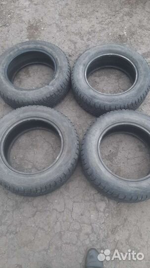 Gislaved Nord Frost 5 195/65 R15