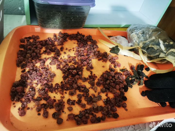 Пластиковые подносы бу